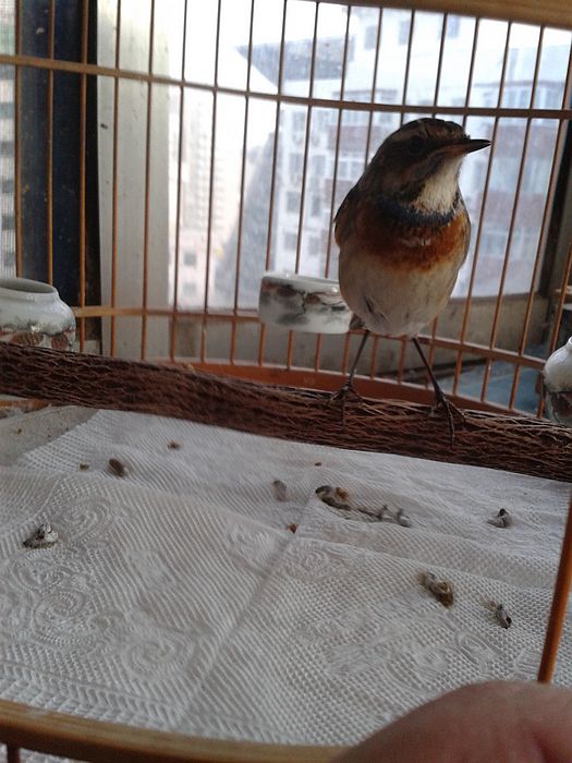 20131124_161307.jpg
