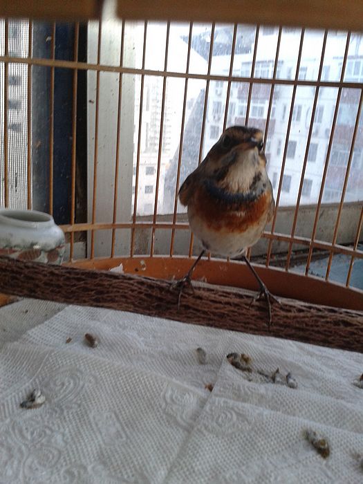 20131124_161049.jpg