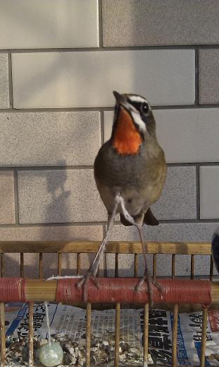 IMAG0194.jpg