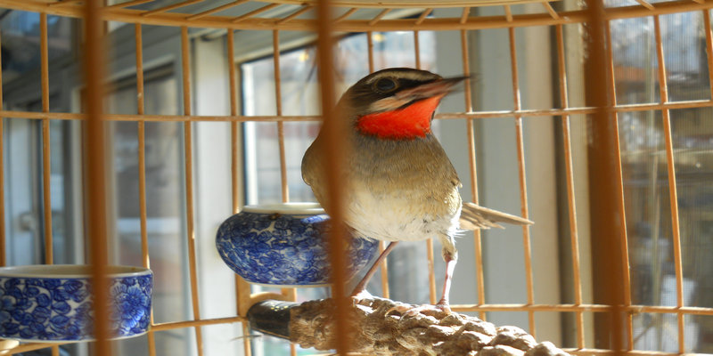 DSCN1581.JPG
