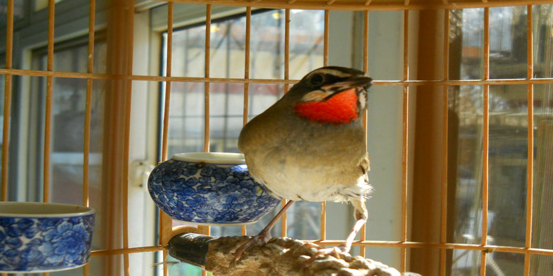 DSCN1577.JPG