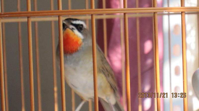 IMG_3924.JPG