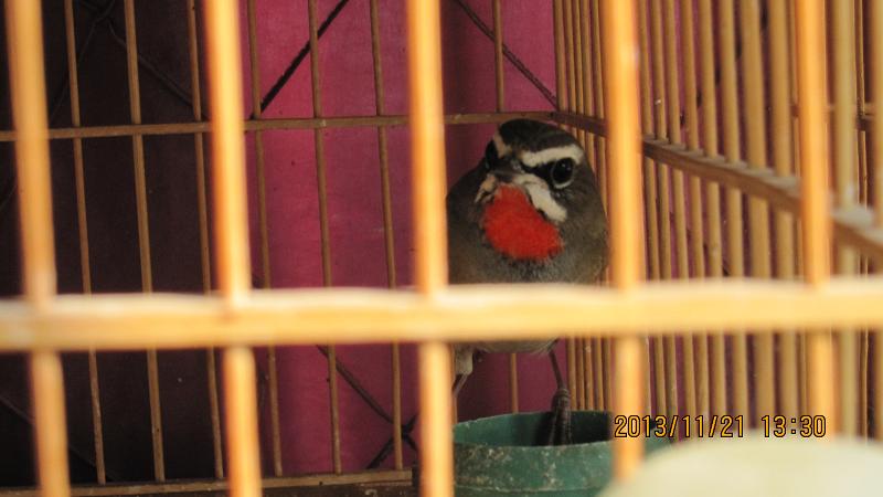 IMG_3931.JPG