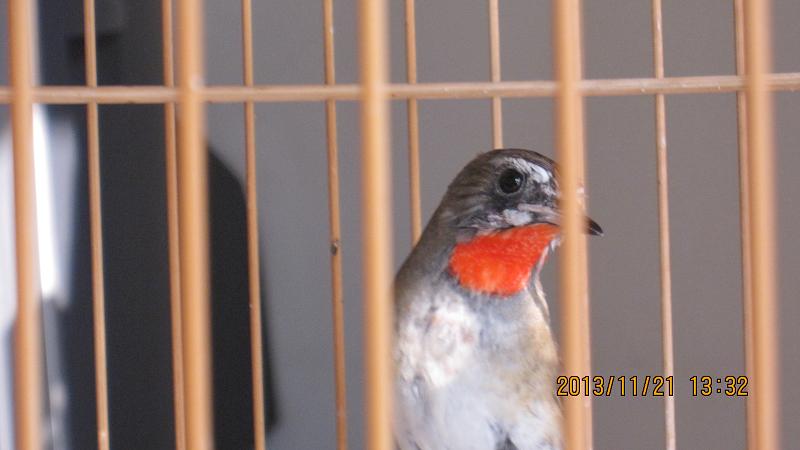 IMG_3935.JPG