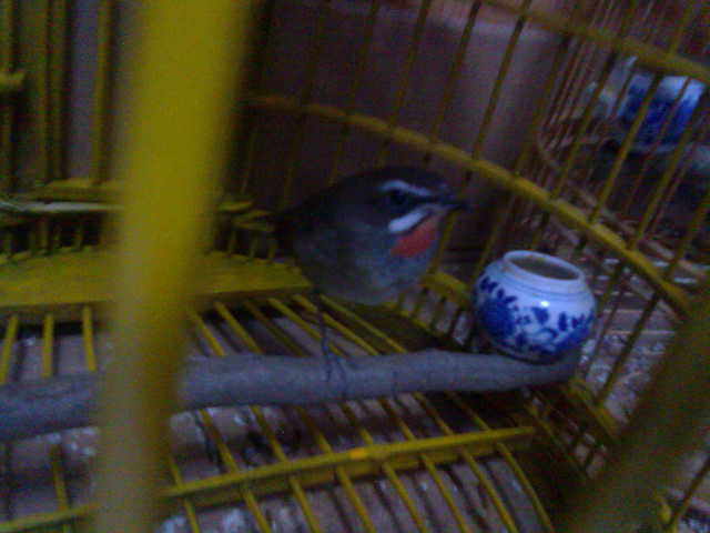 20131117467.jpg