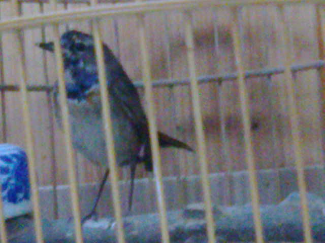 20131117612.jpg
