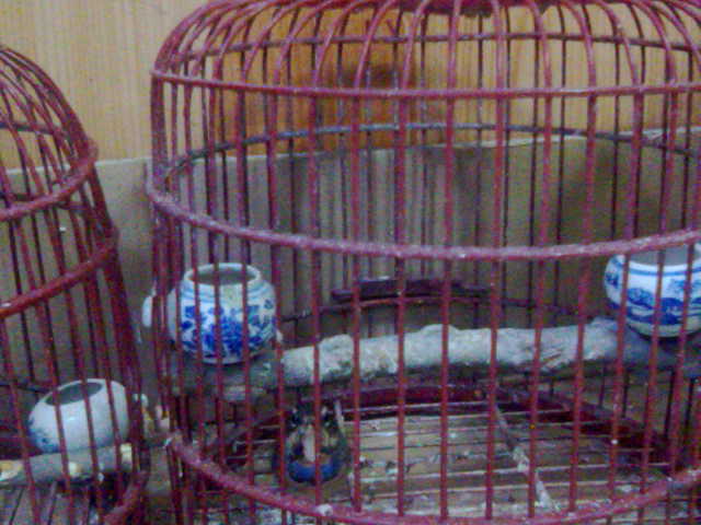 20131117632.jpg