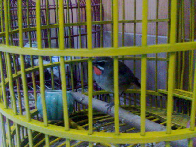 20131117561.jpg