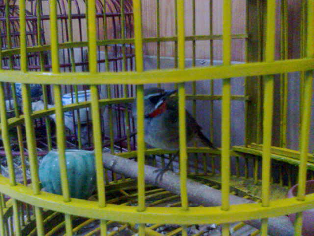 20131117571.jpg