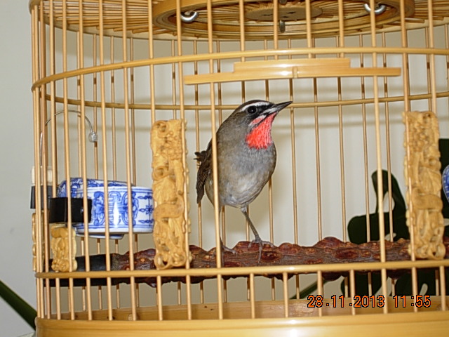 DSCN2922.JPG
