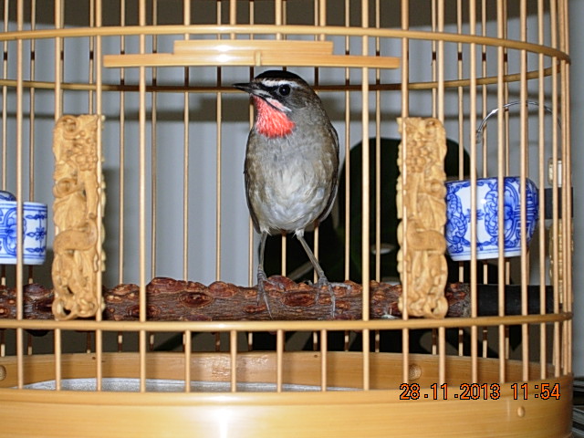 DSCN2920.JPG