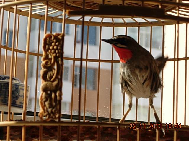DSCN2908.JPG