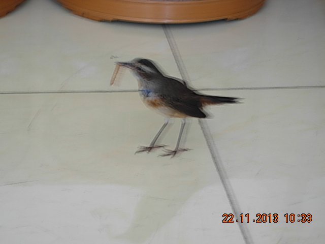 DSCN2889.JPG