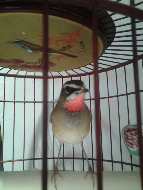 20130926_202915_副本.jpg
