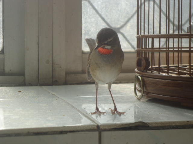 DSC00886.JPG