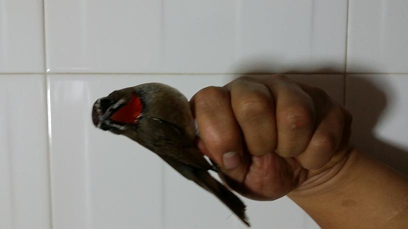 20131127_202327.JPG