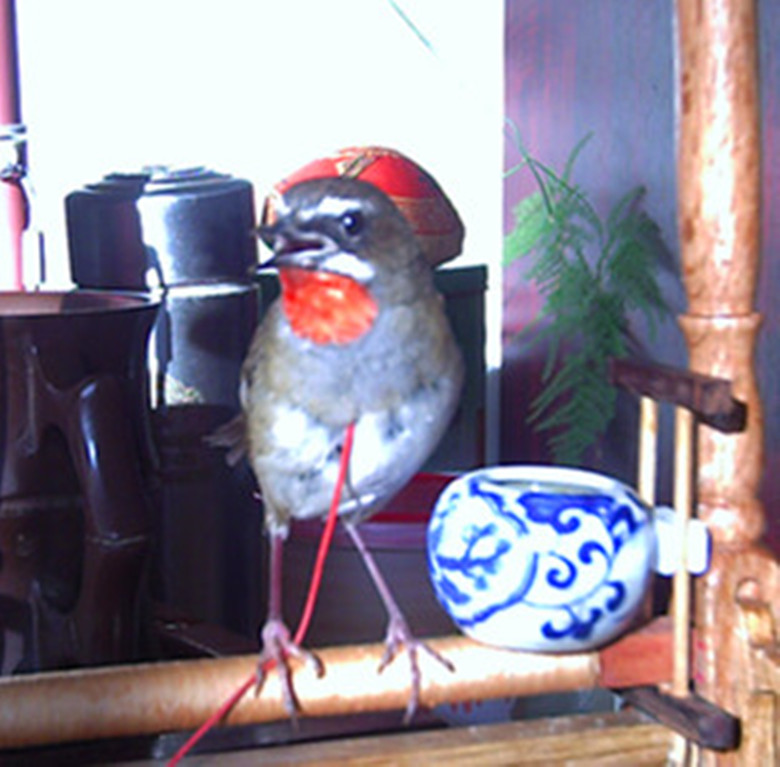PICT0001.JPG