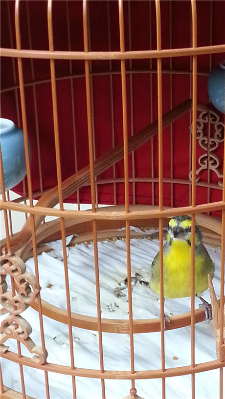 20131103_133011.jpg