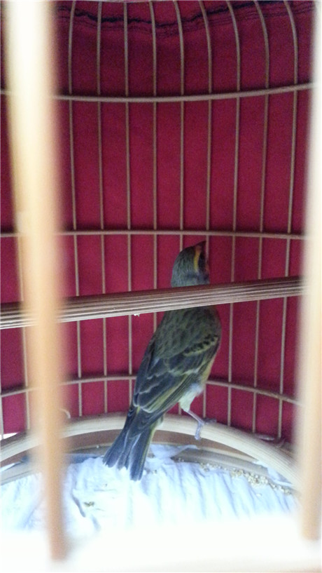 20131103_132638.jpg