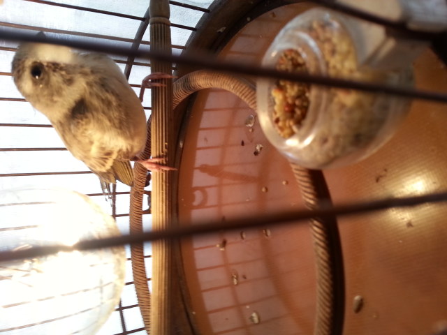 20131117_140608.jpg