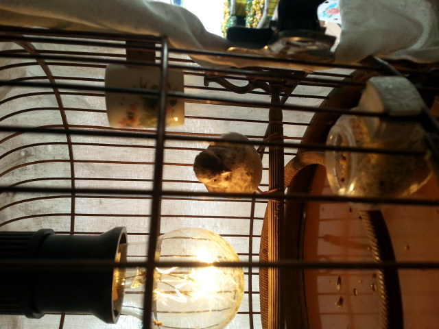 20131117_140552.jpg