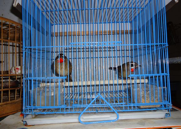 DSC00848_副本2_副本.jpg