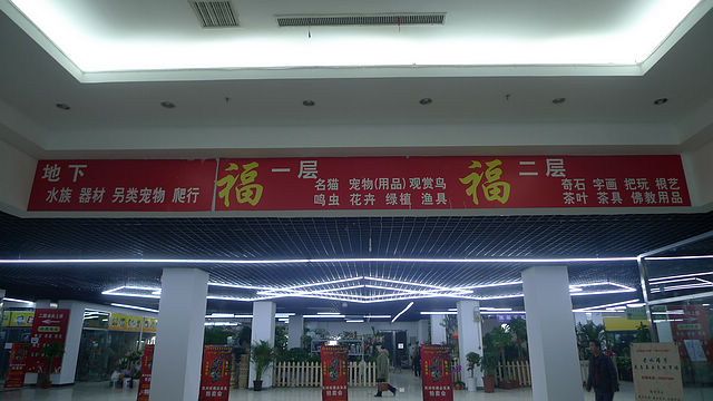 P1180288.JPG