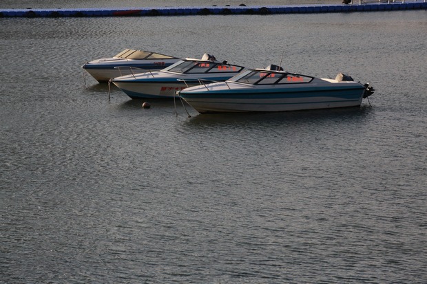 IMG_5786.jpg
