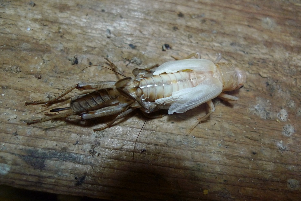 P1030422_调整大小.JPG