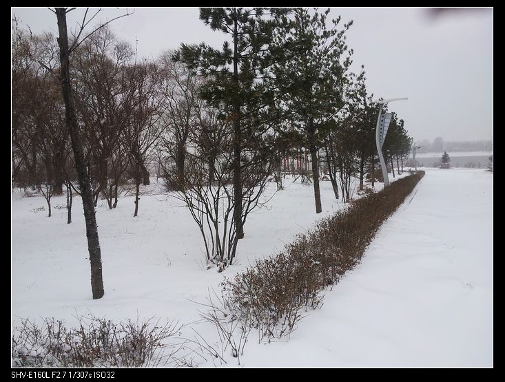 nEO_IMG_20131117_135827.jpg