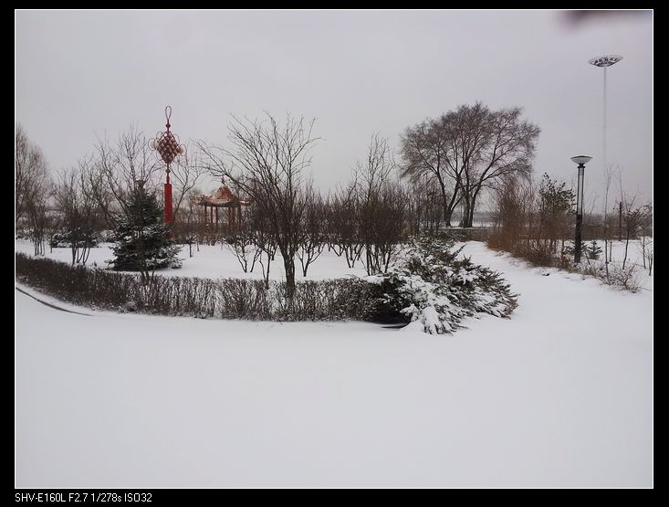 nEO_IMG_20131117_135107.jpg