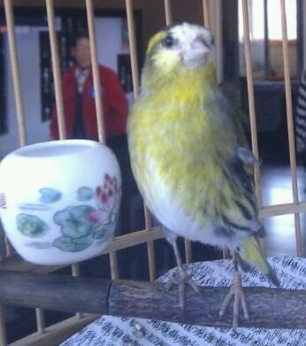 QQ图片20131121093839.jpg