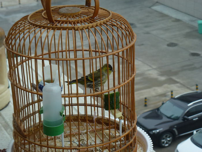 P1030623_调整大小.JPG