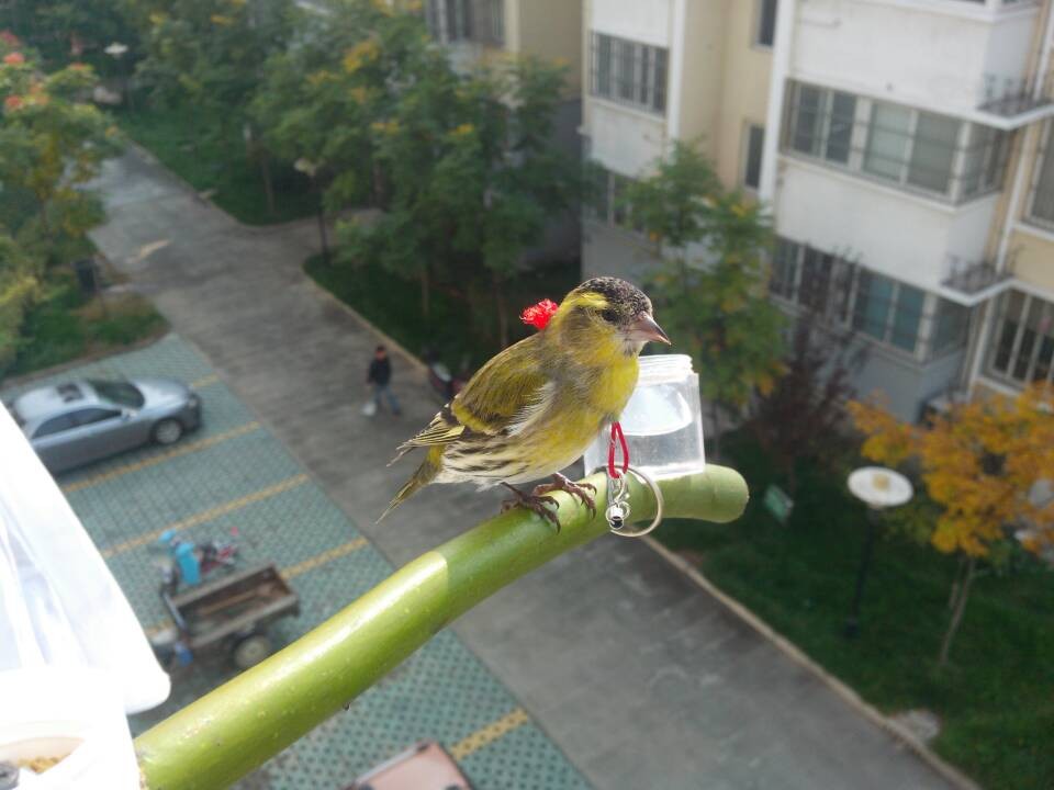 QQ图片20131106175310.jpg