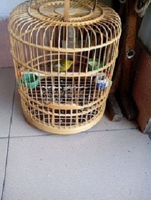 IMG_20131116_142611.jpg