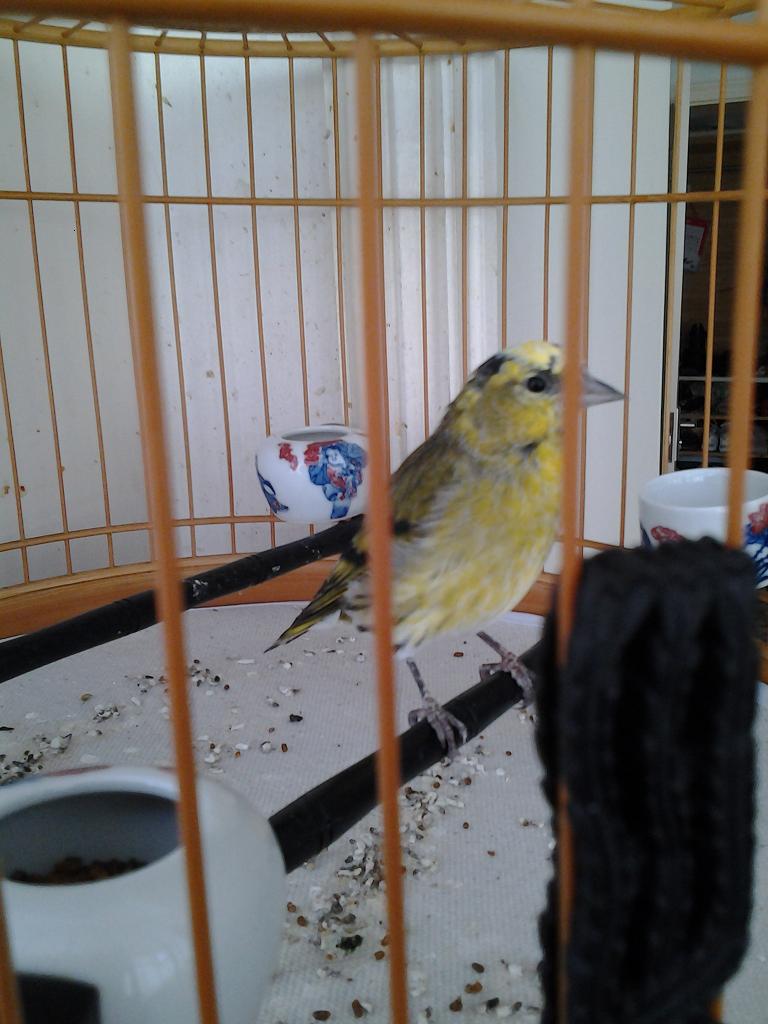 20131105_080600.jpg
