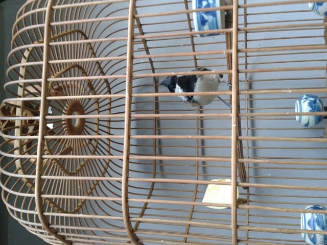 20131111_153428.jpg