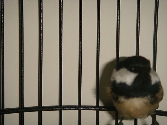 nEO_IMG_DSC06581.jpg
