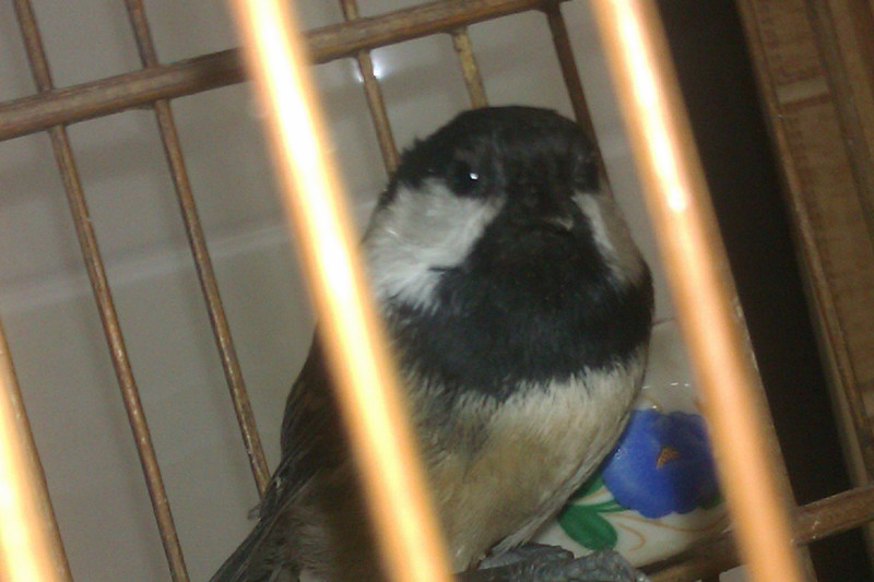 IMAG1007.jpg