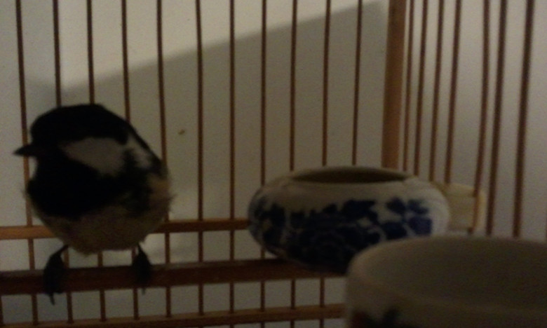 2013-11-04 18.26.31_副本.jpg