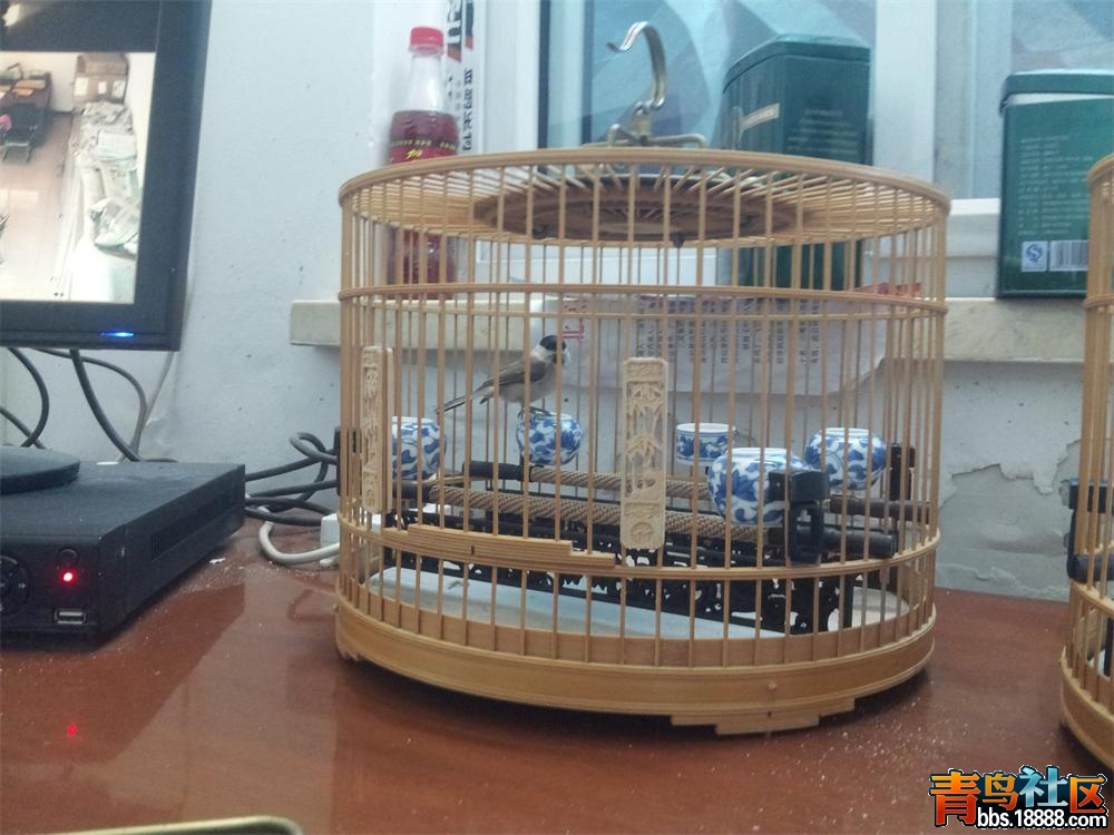 20131112_114200.jpg