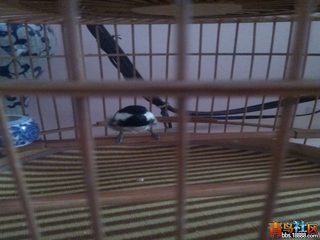 20131114_125742.jpg