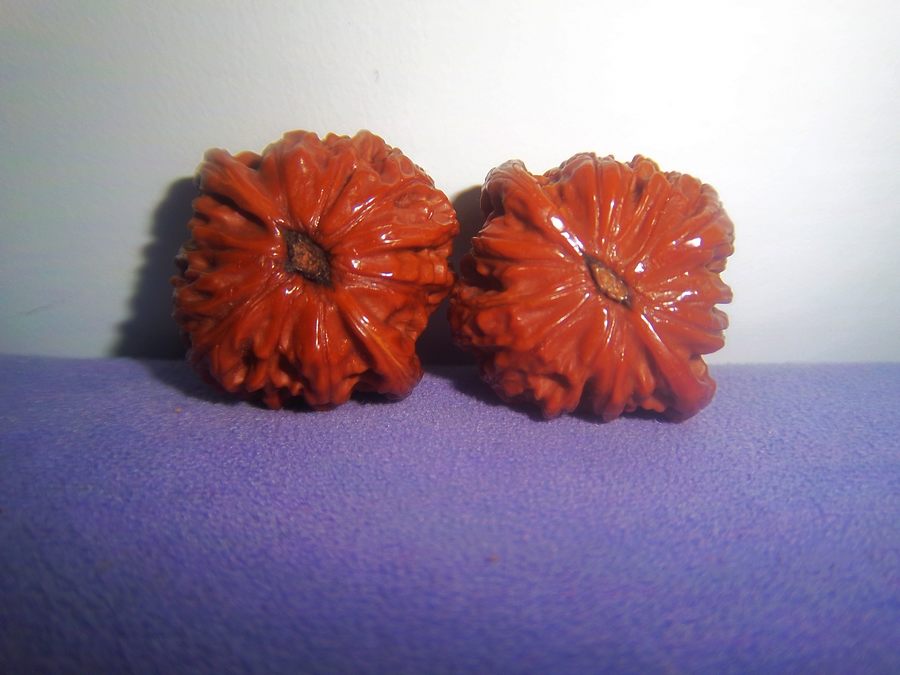 100_4513.JPG