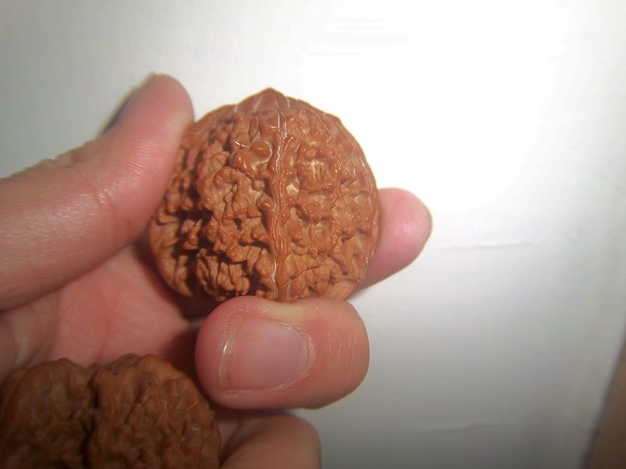 100_4530.JPG