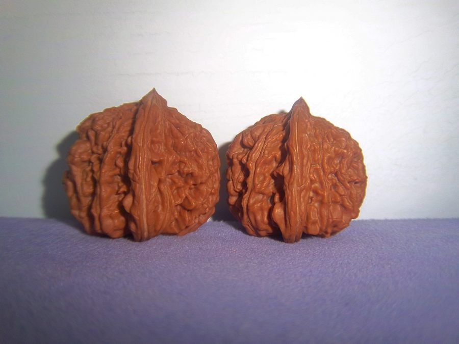 100_4559.JPG