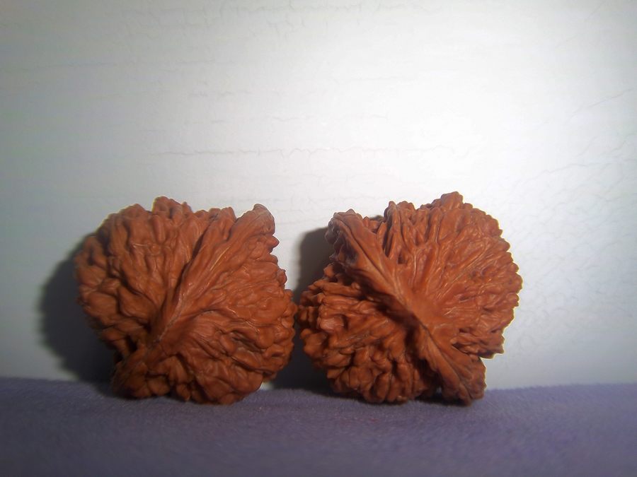 100_4566.JPG