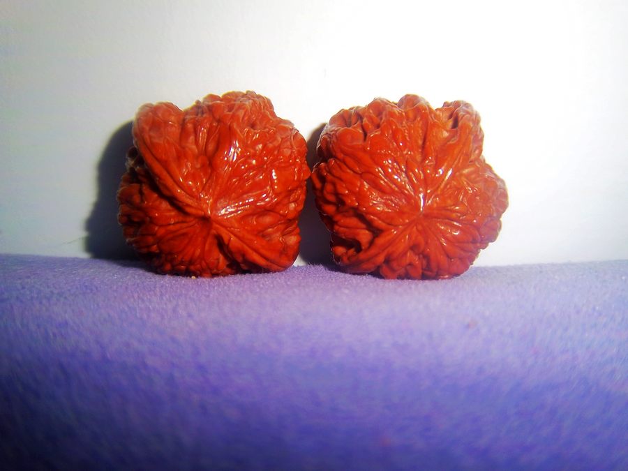 100_4512.JPG