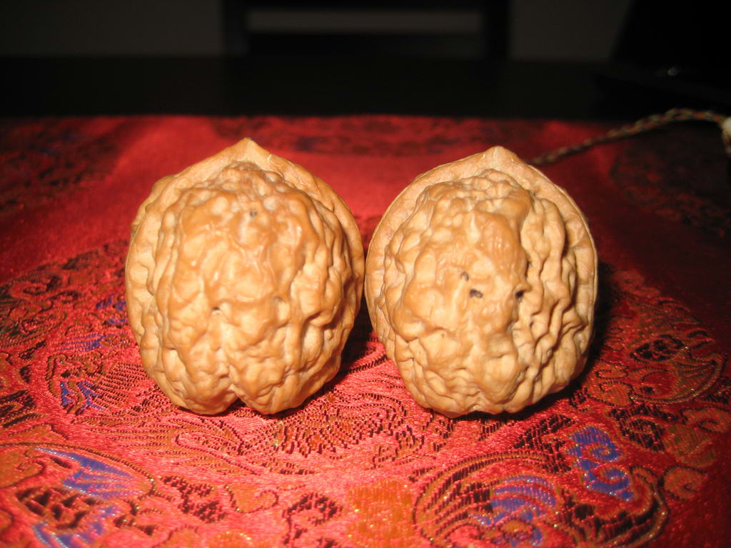 IMG_8206_调整大小.JPG
