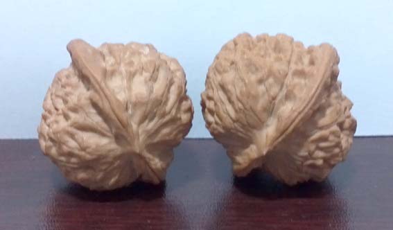 2013-11-12_21-19-11_410.jpg