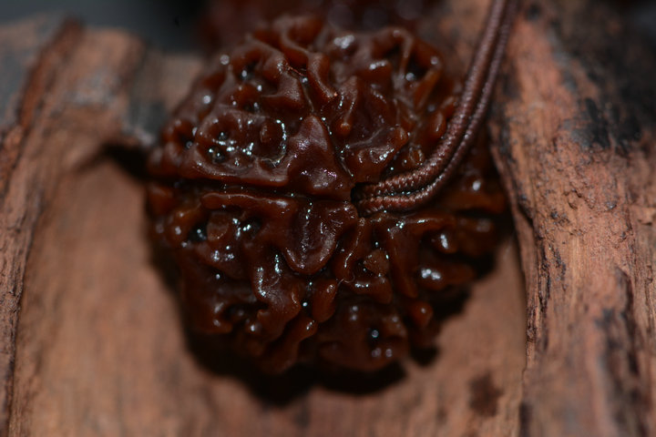 DSC_2879.JPG
